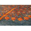 Hand-Knotted High-Quality Area Rug