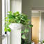 Hanging Planter-67074969