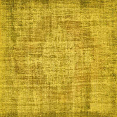 Elexander Performance Indoor Rug