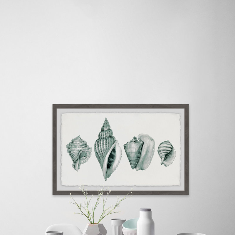 Four Shells - Single Picture Frame Print, 30 cm H x 46 cm W x 4 cm D