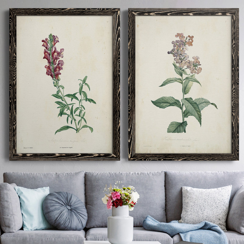 Toile encadrée de qualité supérieure Traditional Botanical I - prête à être accrochée, Toile encadrée noire