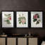 Mélange de fleurs roses I - impression encadrée sur mesure de qualité supérieure mate - 3 pièces-44061800-44061782