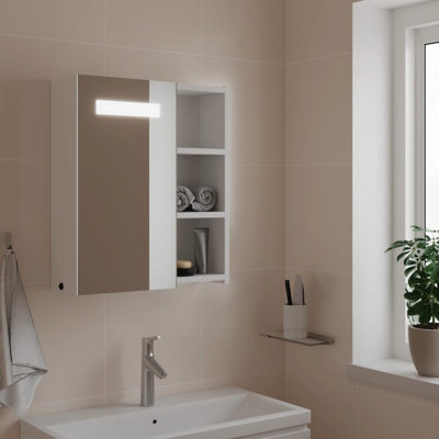 Adrianny W 52mm H Freestanding Framed Medicine Cabinet Mirror