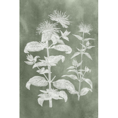 Sage Impressions III