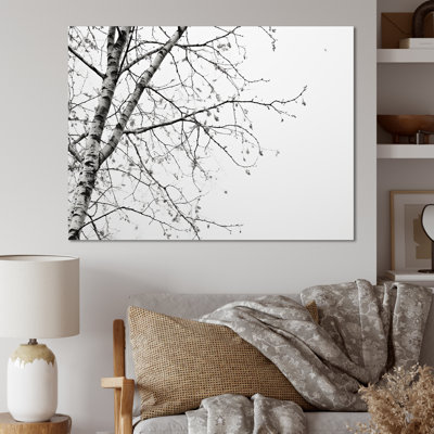 " Grey Minimalism Tree Birch "