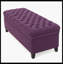 Juliana Storage Ottoman-1452140800