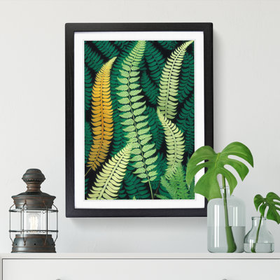 Fern Leaf Layers Vol.4 - Framed Print