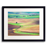 Spring Fields In The Palouse Hills Print by Bruce Heinemann
