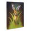 Hare Expressionism - Wrapped Canvas-786689790