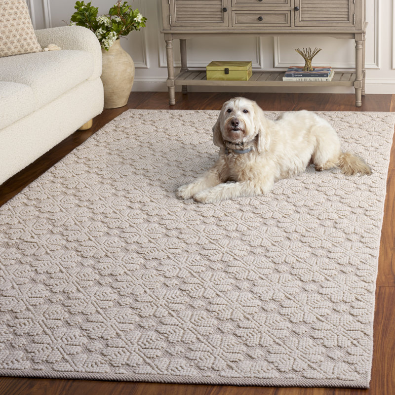 Tapis géométrique en laine / coton tissé à la main Vermont, Rectangle 5 pi x 8 pi