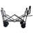 Collapsible Wagon with Canopy-118887776