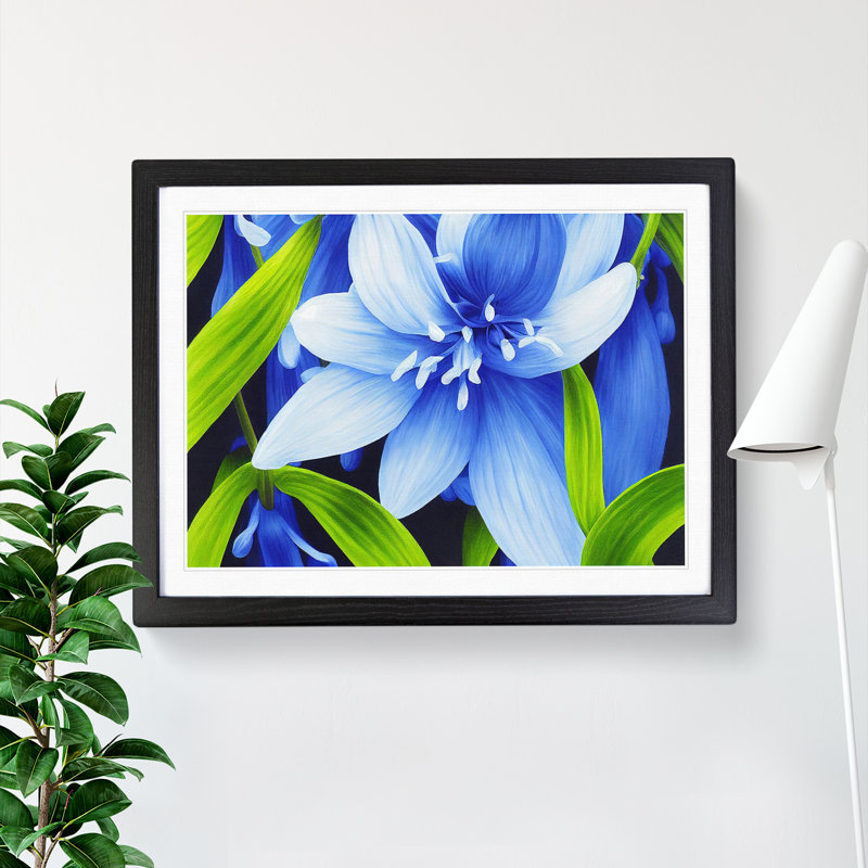 Decorated Flower - Single Picture Frame Print, Black, 46cm H x 64cm W x 2cm D