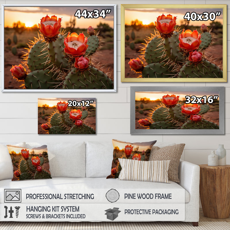 Champ de cactus rouge et vert avec coucher de soleil II - impression, H 30 po x l 40 po x P 1,5 po, Cadre naturel flottant