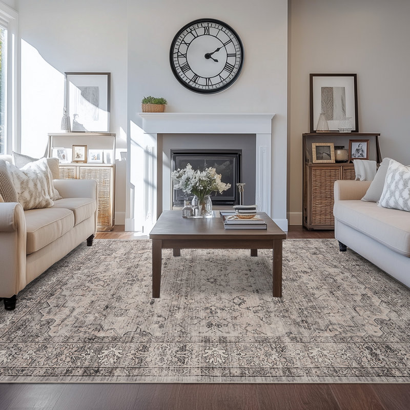 Redenhalk Area Rug NaturalGrey, Machine Washable Rug,Soft Accent Rugs,Non-Slip Non-Shedding Low-Pile Floor Carpet