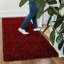 Runner Aanuoluwa Solid Colour Shag 60cm X 220cm Area Rug