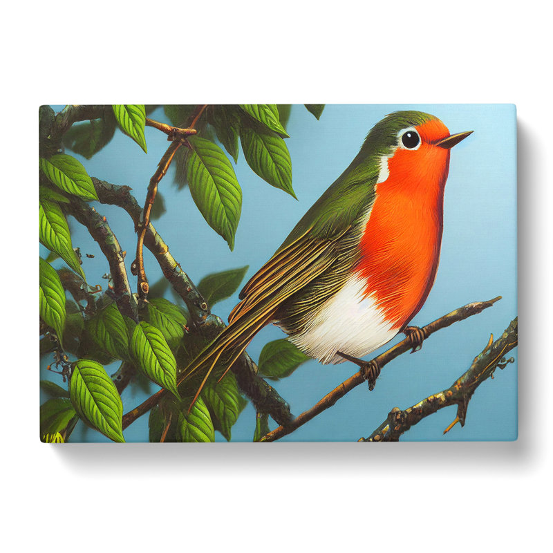 A Pretty Robin Bird - Wrapped Canvas