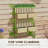 Raised Garden Bed with Trellis