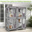 Enceinte de chat d'extérieur pour chat Catio-1372203477