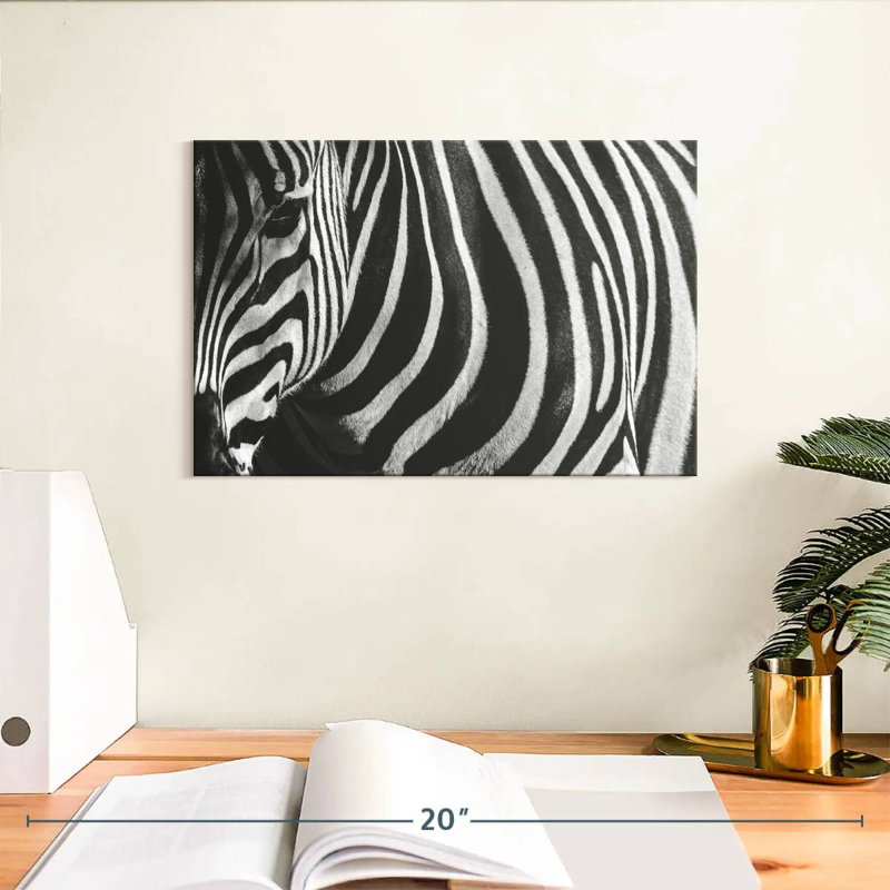 Ronce de zèbre monochrome, H 8 po x l 12 po