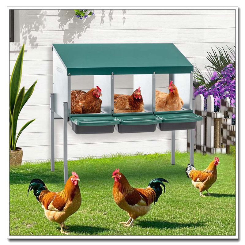 Boîtes de nidification pour poulets, boîtes de nidification de poulet à 3 trous avec pattes, boîte de ponte avec couvercle, pour la cour extérieure de poulailler, vert