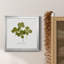 «Pressed Clover I», reproduction encadrée de qualité supérieure - prête à être accrochée-1872520554-1872557685-1872520560