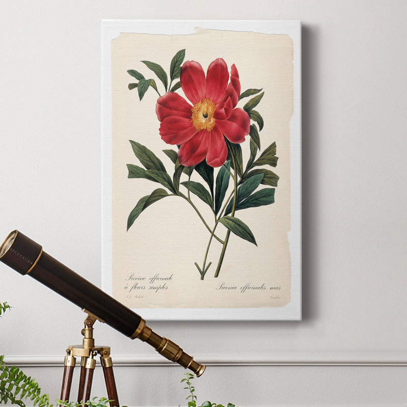 " Red Botanical IV ", 18" H x 12" W x 1" D