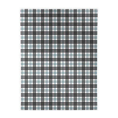 Plaid Indoor Rug