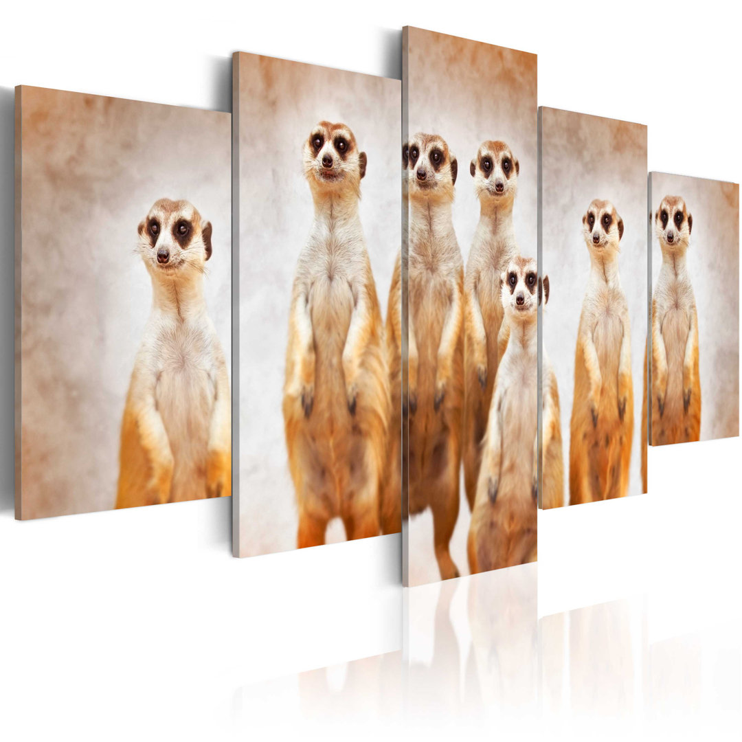 Leinwandbild Family of meerkats