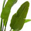 Artificial Plant Strelitzia Green-1858279926