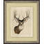 Deer Head 1 Print