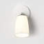 Carlton 1 - Light Spotlight-381571588