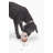 Hybrid Feeder/Toy-87061916