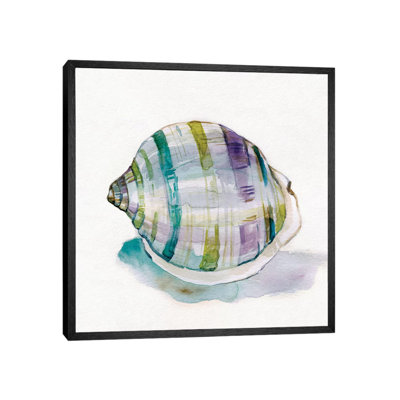 Malecon Shell III 1 Piece Wall Art on Canvas