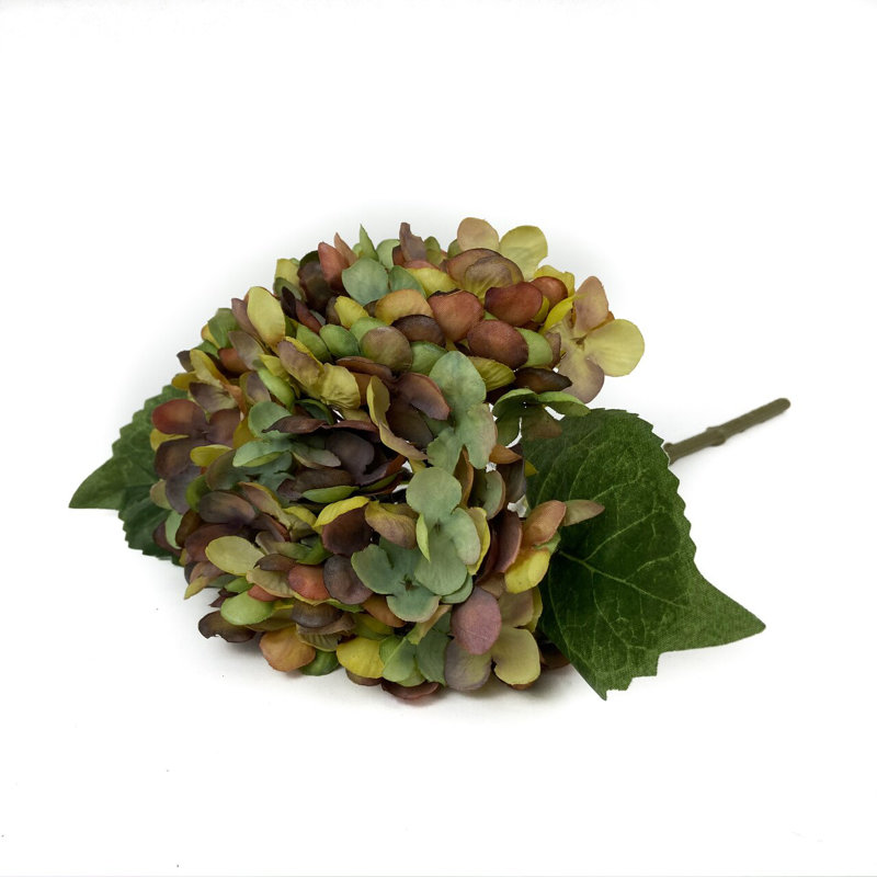 Hydrangea Arrangement