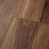 Buckskin