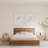 Antonnio 2 Drawer Nightstand-1678242784