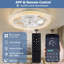 Ceiling Fan with Light Kit