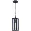 Lanterne suspendue d'extérieur 1 lumière H 14,25 po Ahupendra