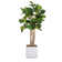 Panama 67'' Faux Palm Tree in Fiberstone Vase