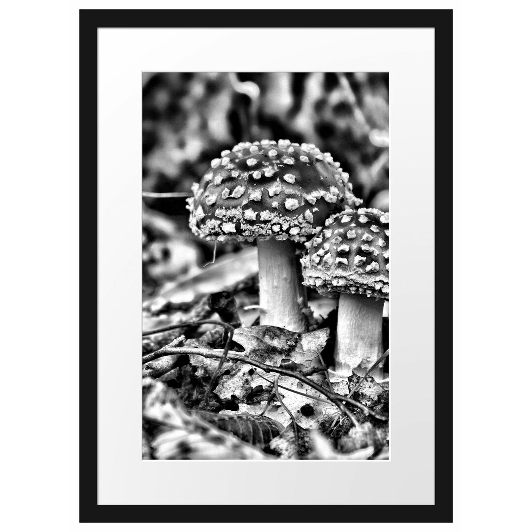 Gerahmtes Poster Pilz im Wald