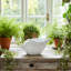 Décoration de jardin d'intérieur en forme de coquillage en céramique texturée en forme de coquillage - 6 po - blanc