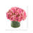 Peony Arrangement in Glass Vase with Grass-244290954