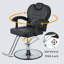 Fauteuil de coiffeur inclinable Classic-976866912