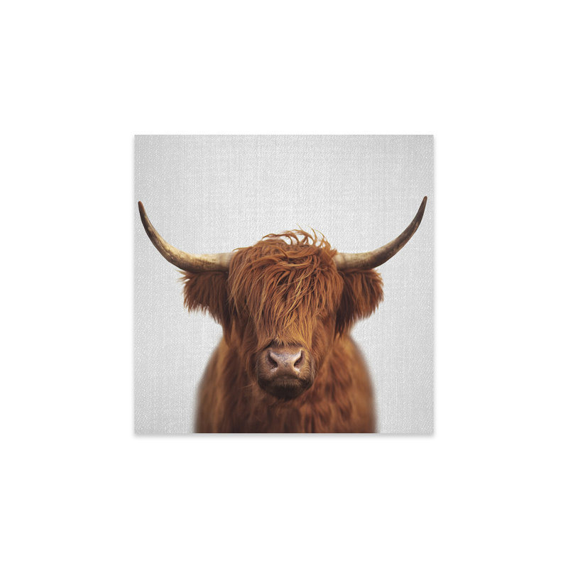 Impression de vache Highland sur verre acrylique, H 24 po x l 24 po x P 0,25 po