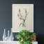 Toile encadrée de qualité supérieure Traditional Botanical IV - prête à être accrochée-1678227270-1678227288