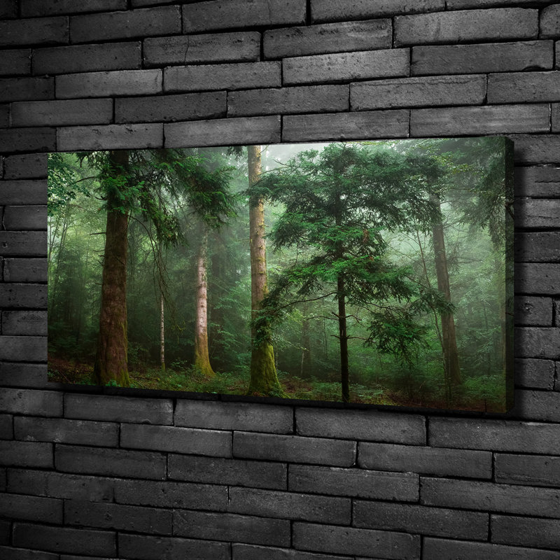 Fog In The Forest - Wrapped Canvas Print
