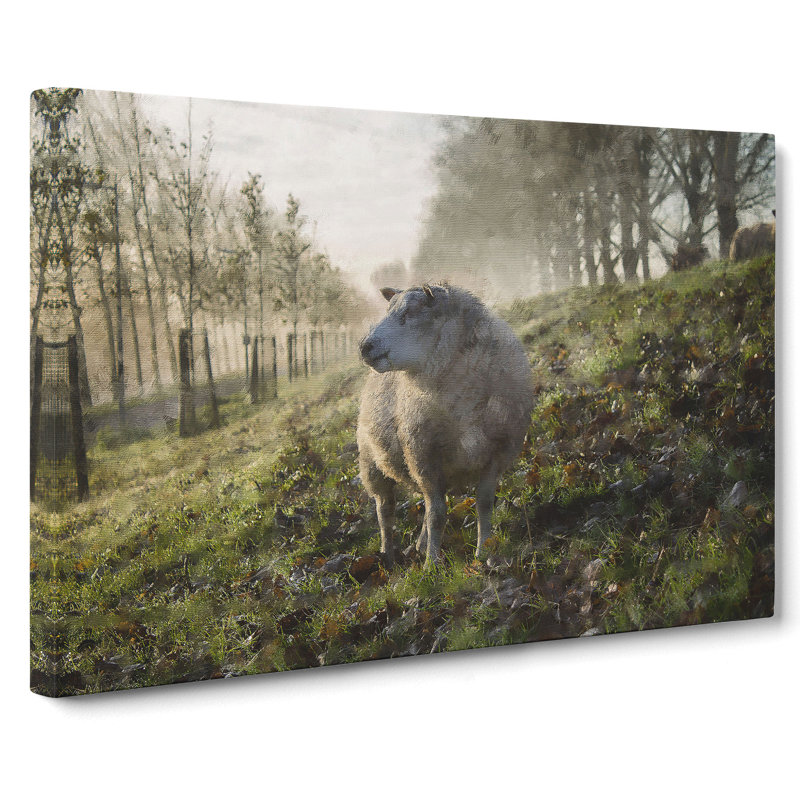 Woolly Sheep - Wrapped Canvas, 40cm H x 60cm W x 3cm D