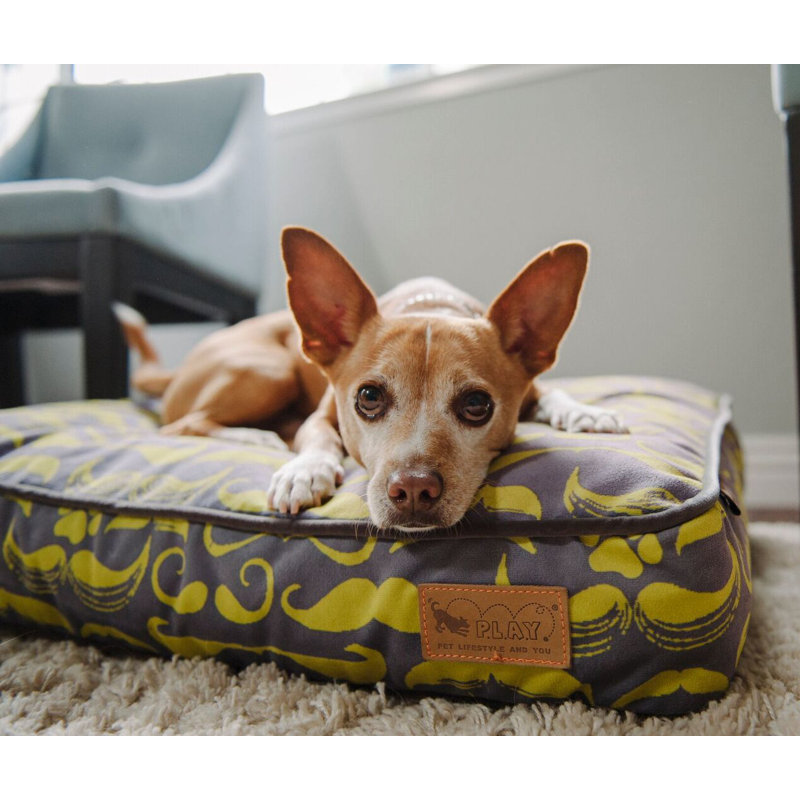 Polyester Pet Bed, Small (4" H x 28" W x 20" D)
