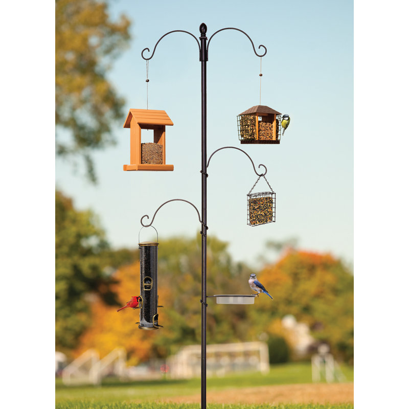 Rangeley Steel Feeding Station