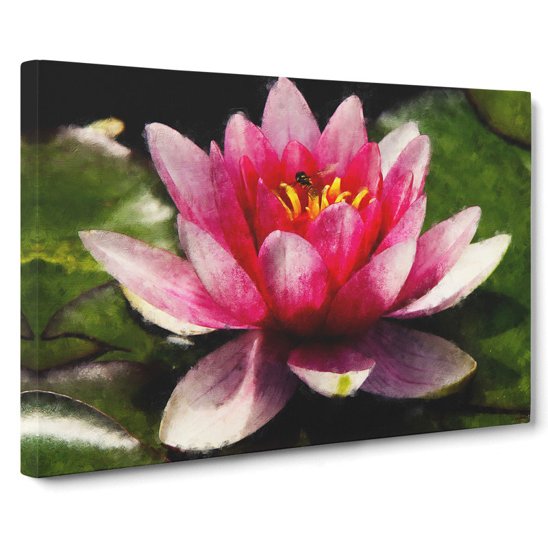 Pink Water Lily Flower Vol.3 - Wrapped Canvas Print, 50cm H x 76cm W x 3cm D